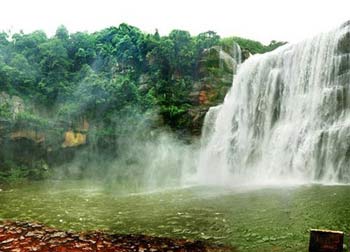 ��Ʒ������