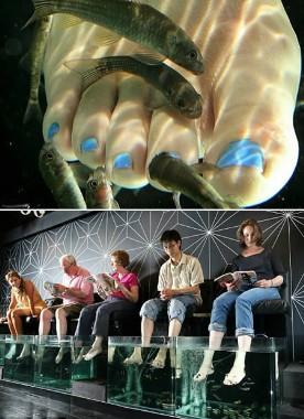 ��Ʒ������