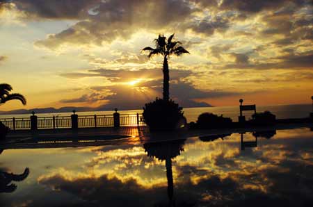 ��Ʒ������