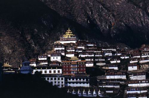 ��Ʒ������