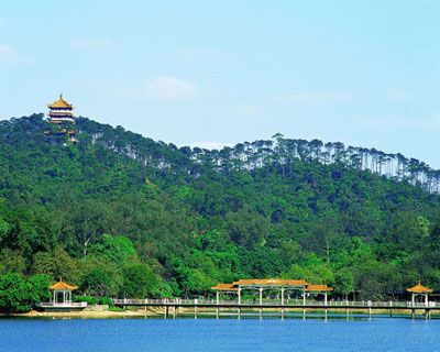 ��Ʒ������