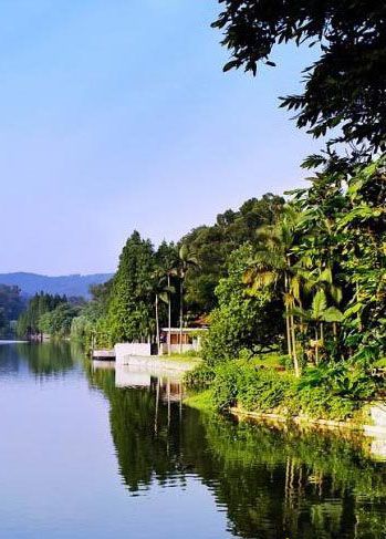 ��Ʒ������