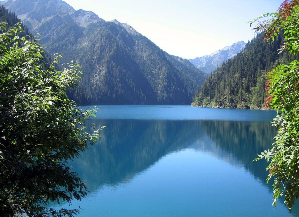 ��Ʒ������