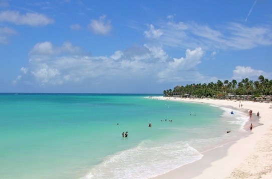 ��Ʒ������