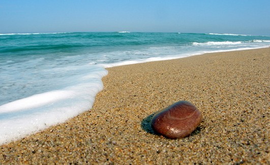 ��Ʒ������