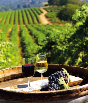 ��Ʒ������