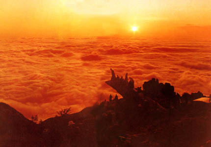 ��Ʒ������