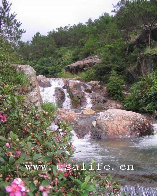 ��Ʒ������