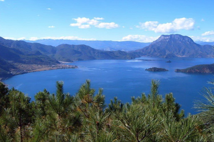 ��Ʒ������