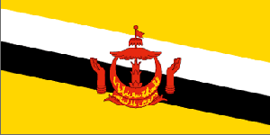 ��Ʒ������