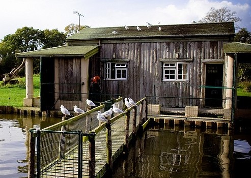 ��Ʒ������