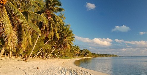 ��Ʒ������