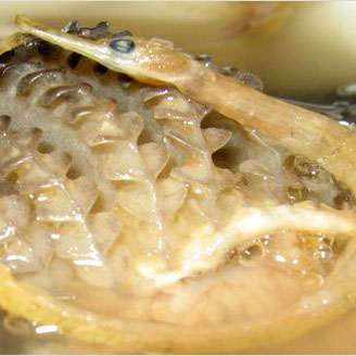 �㶫70������ - penny - yapingzeng�ĸ�����ҳ