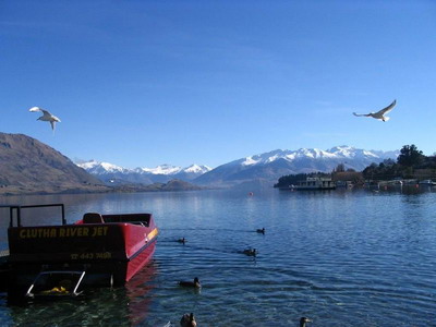 ��Ʒ������