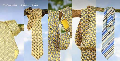 ���׽ڽ��� �̵������������ӵ�е��ݳ�Ʒ[��ͼ] - ������ - �����ߵĲ���