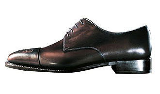 ���׽ڽ��� �̵������������ӵ�е��ݳ�Ʒ[��ͼ] - ������ - �����ߵĲ���