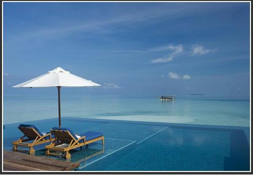 ��Ʒ������