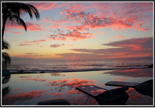 ��Ʒ������