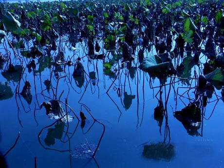 ��Ʒ������