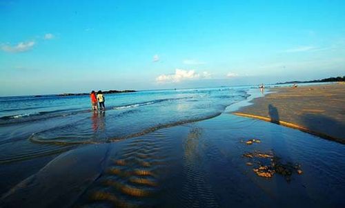 ��Ʒ������