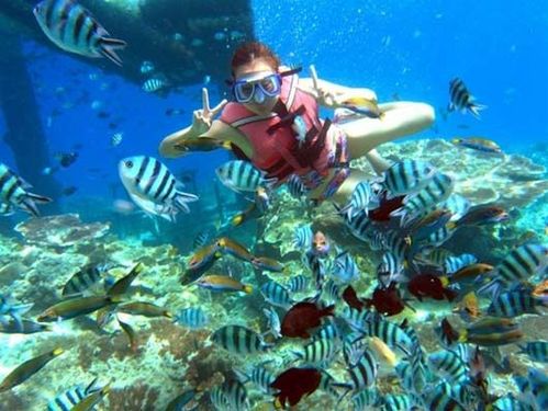 ��Ʒ������