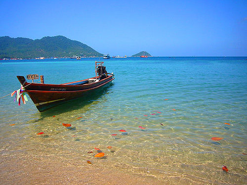 ��Ʒ������