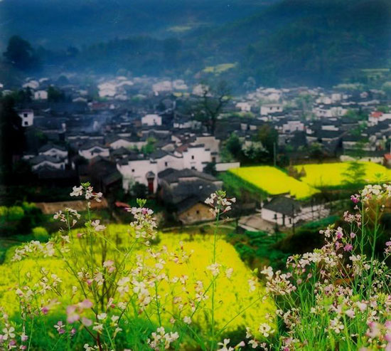 �������� <wbr>�Ƽ�����ר�����ε�