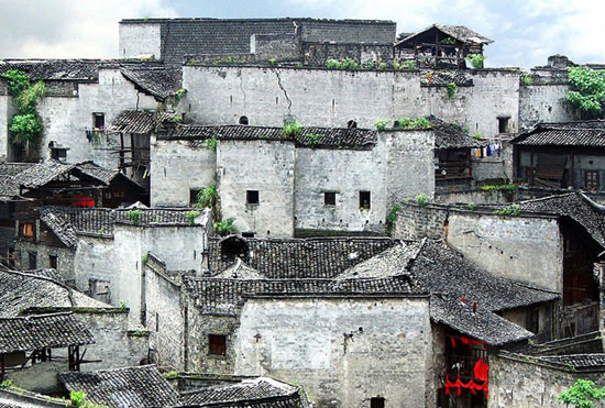 �������� <wbr>�Ƽ�����ר�����ε�