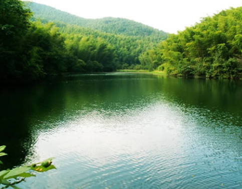 ������Ϫ