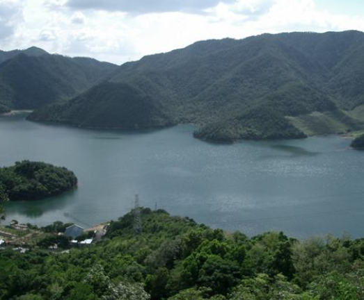 ������Ϫ