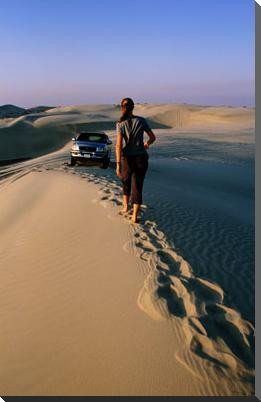 穷游迪拜花花世界全攻略〔原创〕 - 幸福1+2 - 看世界