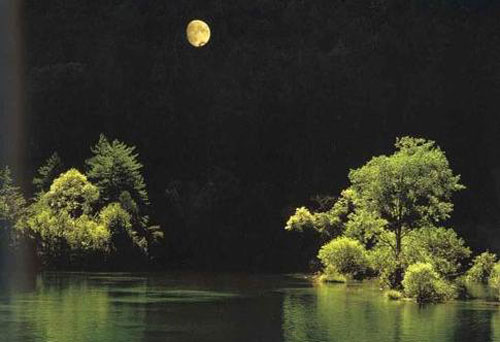 ®ɽ��������