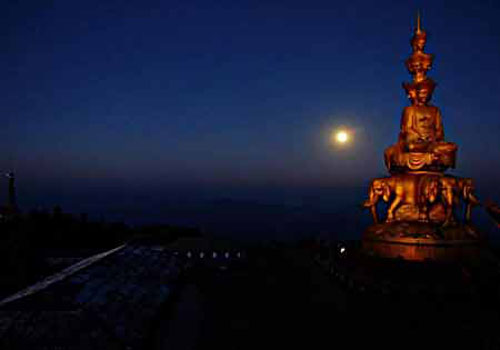 ��üɽ��������