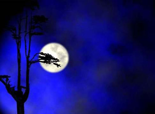 ����ʯ������