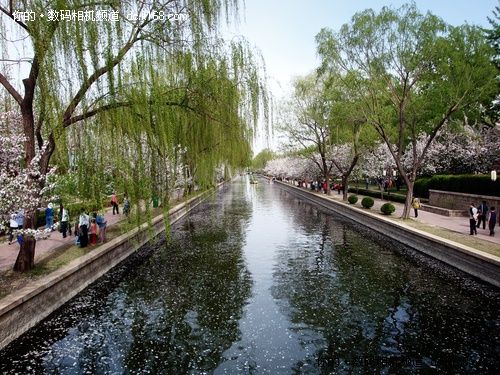 ����10���������ֲ�