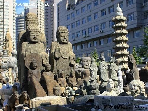 ����10���������ֲ�