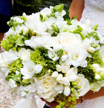 婚礼常用鲜花 浪漫花语