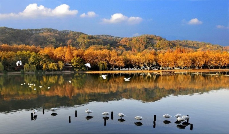 西溪湿地----《非诚勿扰》拍摄地