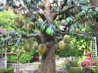 难吃的食物最养人