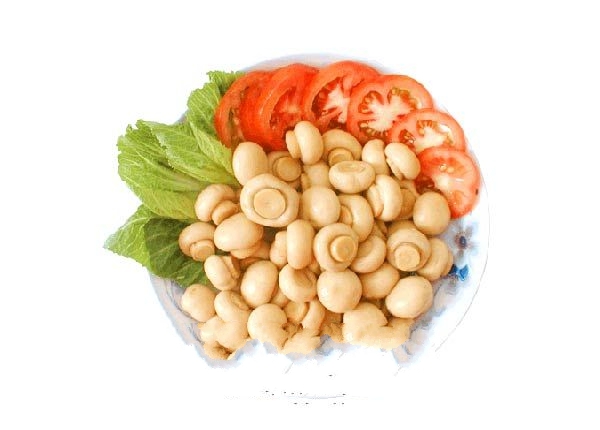 故里食物之茨菇