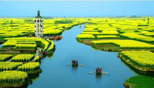 中国最美而宁静的五个油菜花观赏地