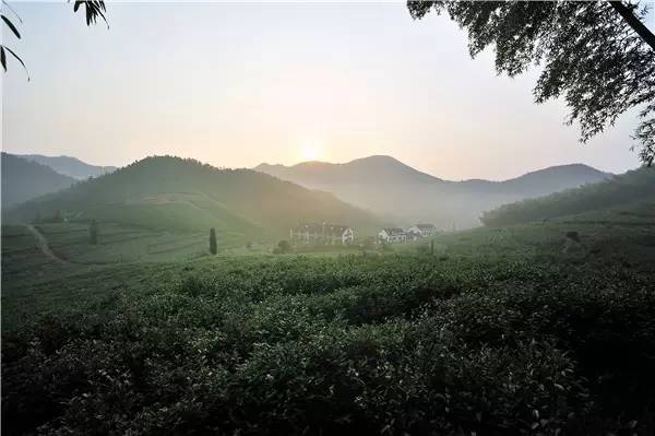 莫干山，风格独特的“江南第一山”
