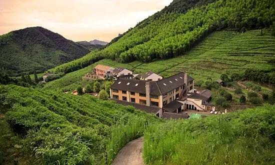 20个莫干山里的最美民宿