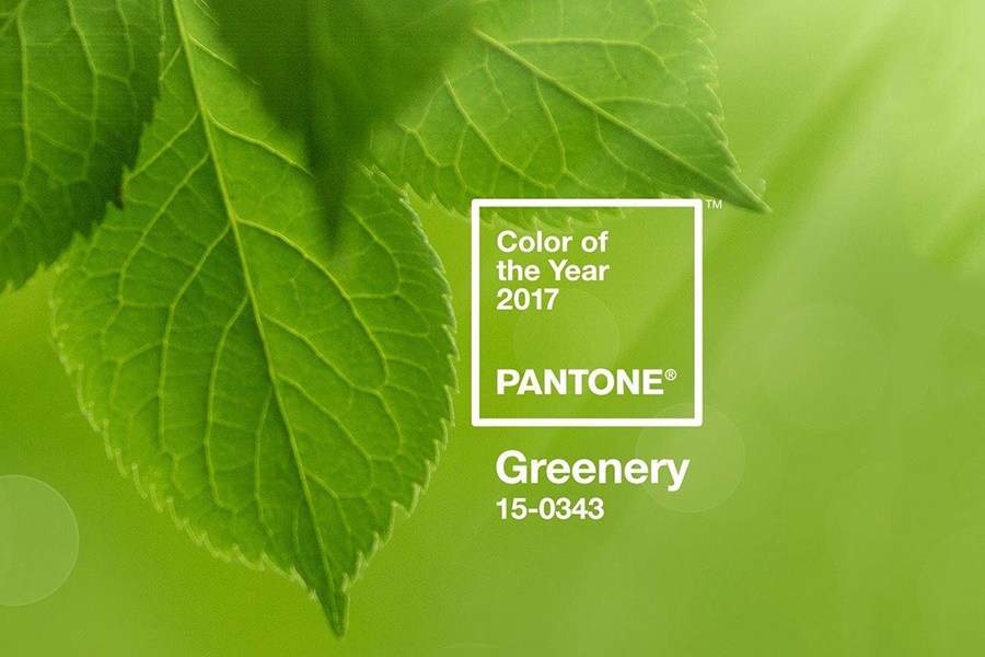 Pantone 公布 2017 年度代表色 Greenery