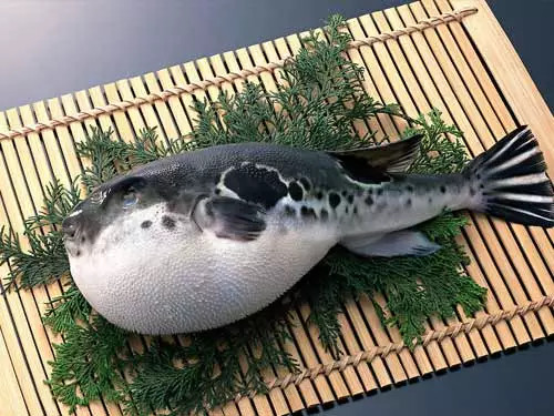 一生必吃美食清单