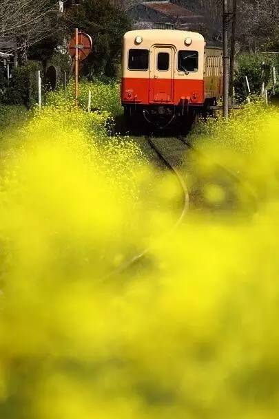 人生中最牛的37种旅行体验