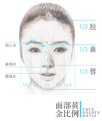 黄金比例脸