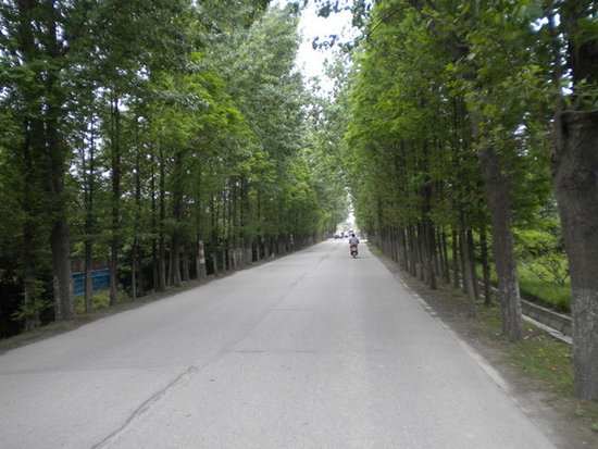 上海六区骑行路线