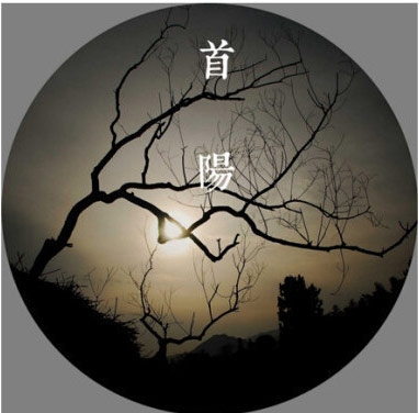阴历十二个月的美丽别称