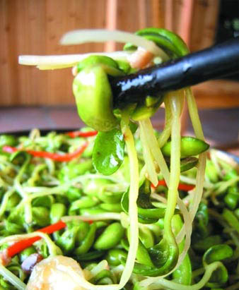 豆芽菜也有大味道